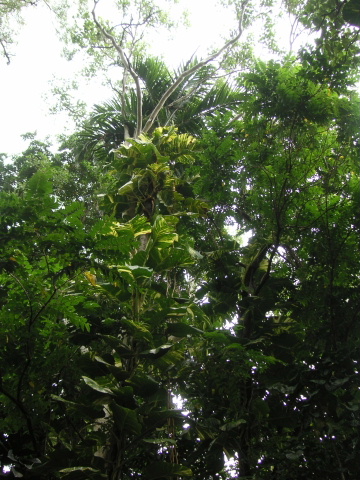 s_A_PICT0072.jpg
